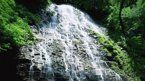 稳定性高效高质量